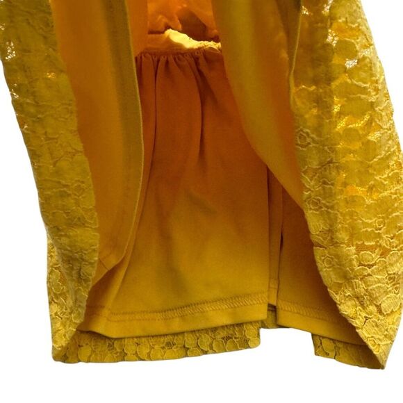 Blueberi Boulevard Yellow Lace Baby Girl Dress 18M Sleeveless Lined - Picture 3 of 4